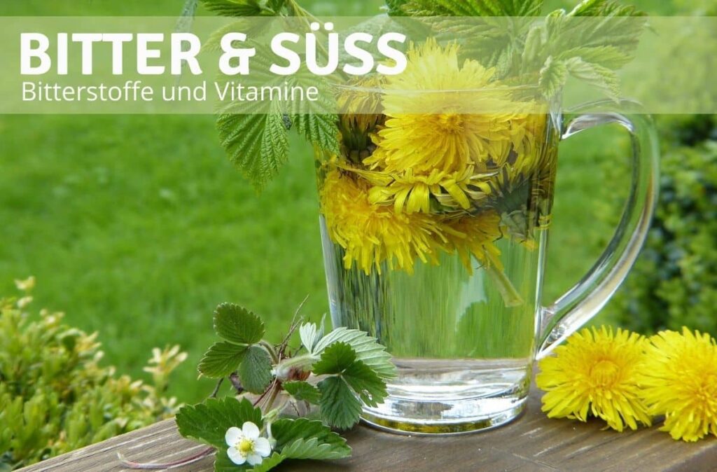 Bitterstoffe und Vitamine