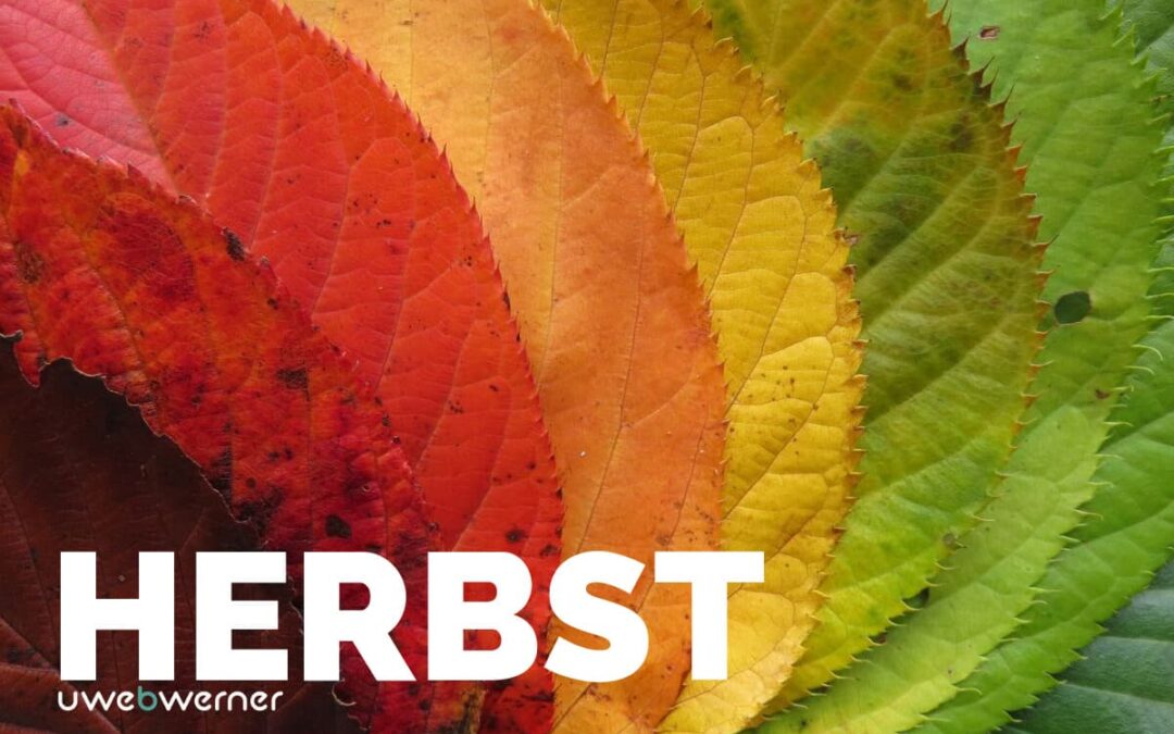 Herbst